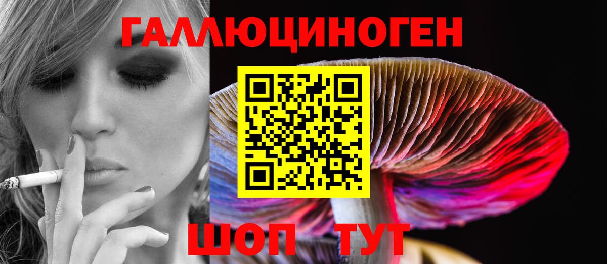 Псилоцибиновые грибы GOLDEN TEACHER  Псилоцибиновые грибы Psilocybine cubensis  Вход с VPN  Полевской 